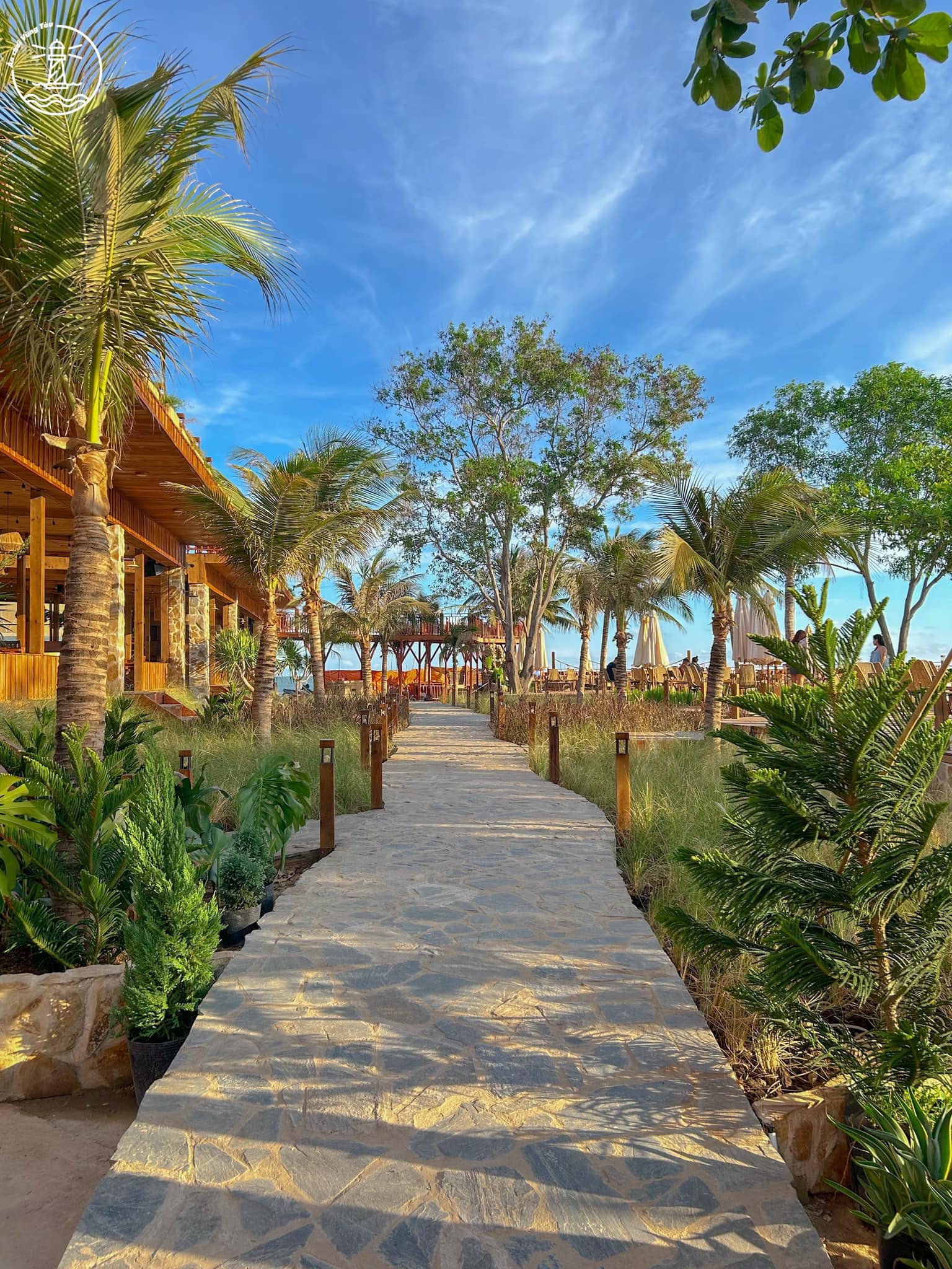 OASIS SEA Coffee & Tea quán cà phê mở 24/7 view biển đẹp - nguồn từ ivivu