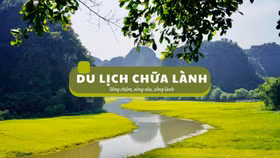 Trải nghiệm du lịch phục hồi sức khỏe tinh thần giữa thiên nhiên
