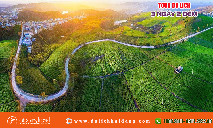 Tour du lịch 3 ngày 2 đêm tại Đà Lạt