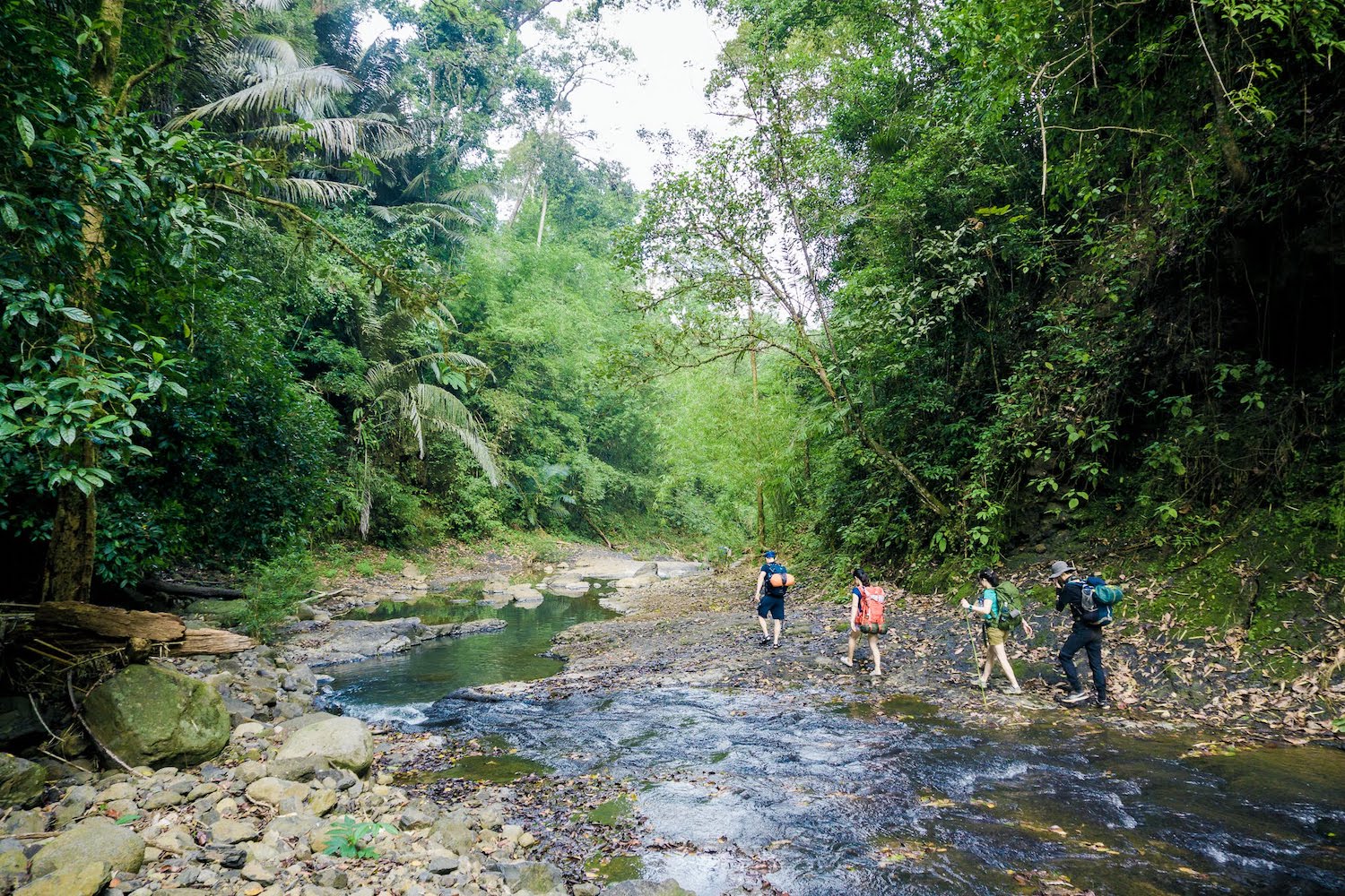 Cung đường núi rừng Việt Nam