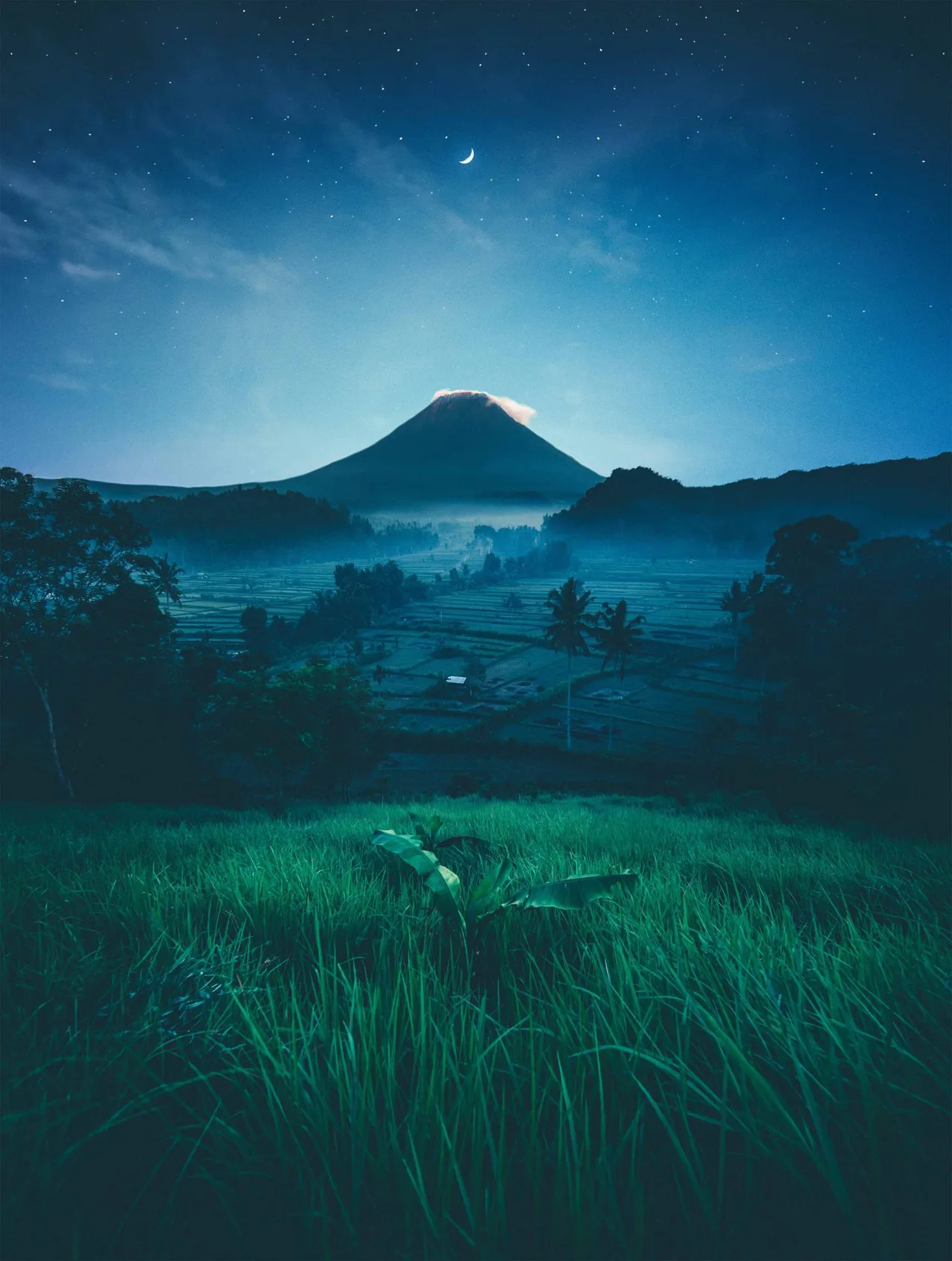 Đêm đầy sao ở Bali
