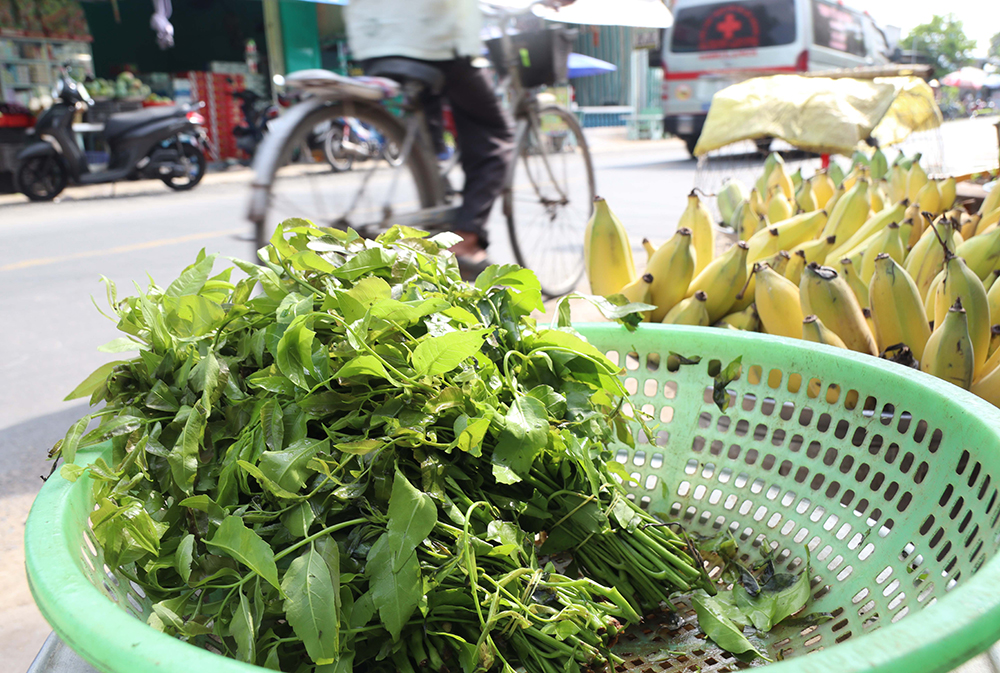 Lá sầu đâu được bán ở chợ