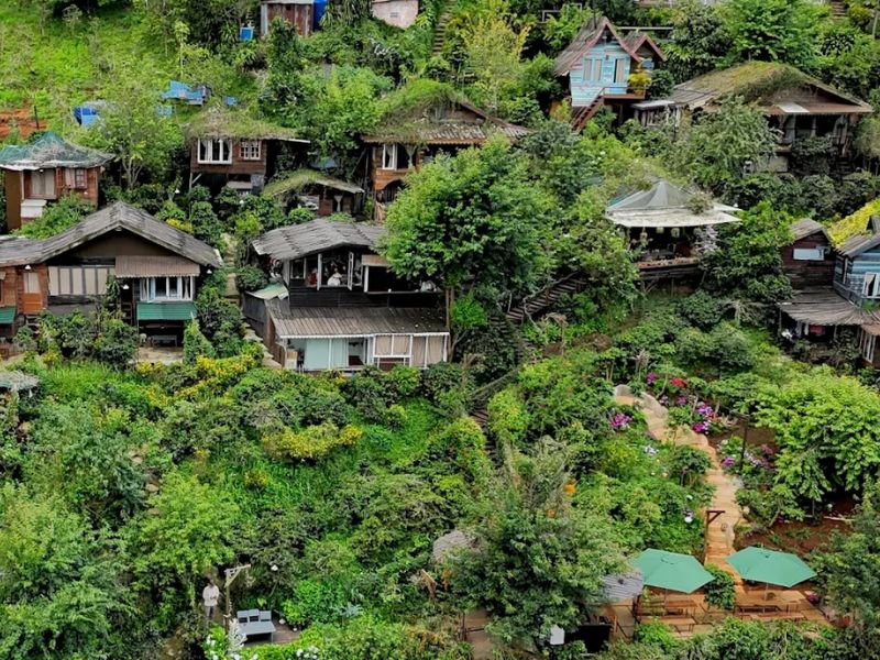 Homestay trên cao giữa đồi thông