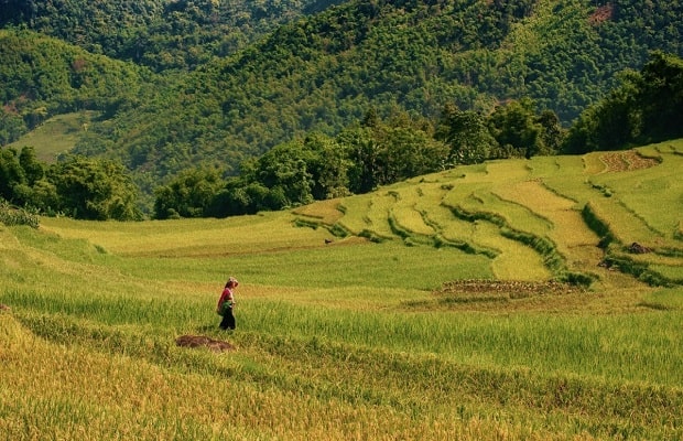 Pù Luông