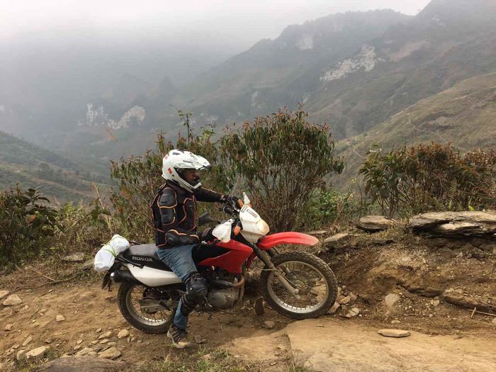 Hoa tam giác mạch nở rộ trên cao nguyên đá Hà Giang mùa thu