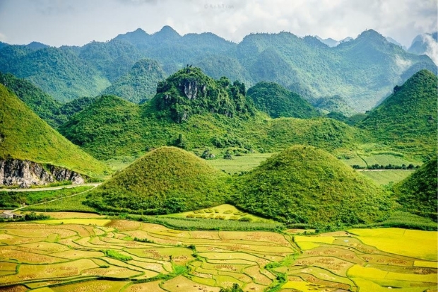 Sắc vàng rực rỡ của lúa chín bao quanh chân núi đôi Quản Bạ