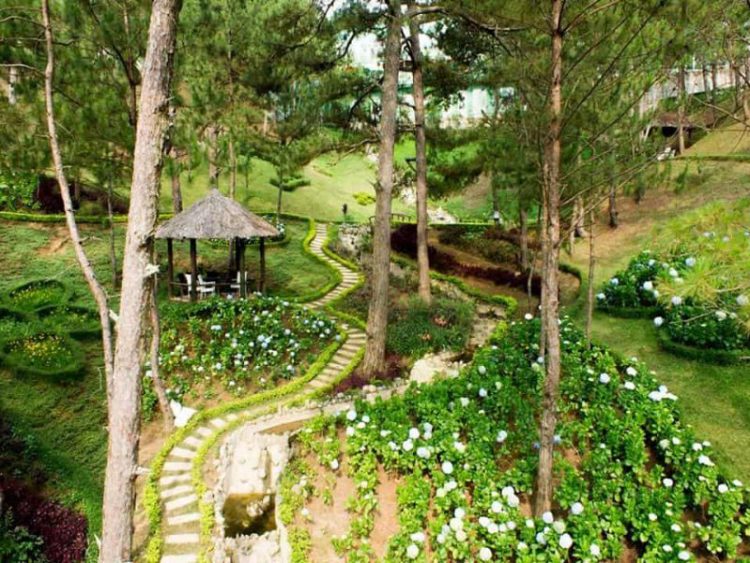 Đà Lạt mùa khô và hoa nở