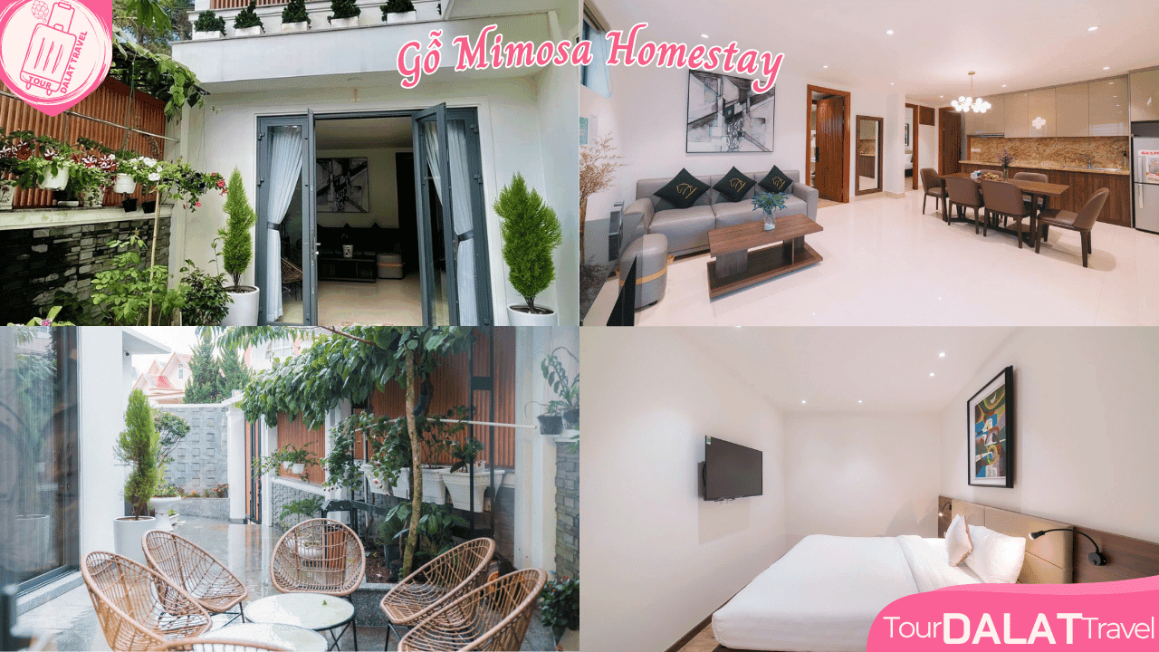 Gỗ Mimosa Homestay