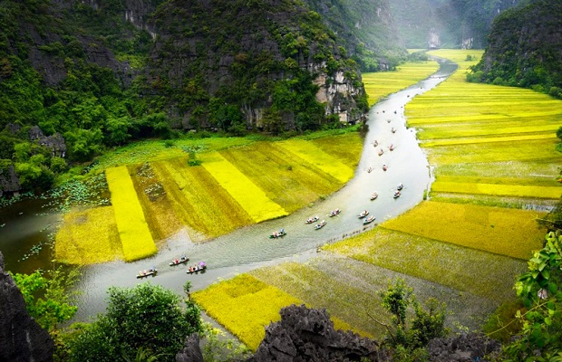 Tam Cốc - Bích Động