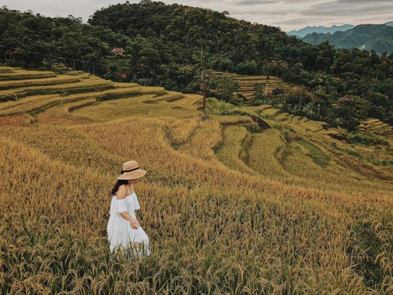 Cách chọn đặc sản ngon