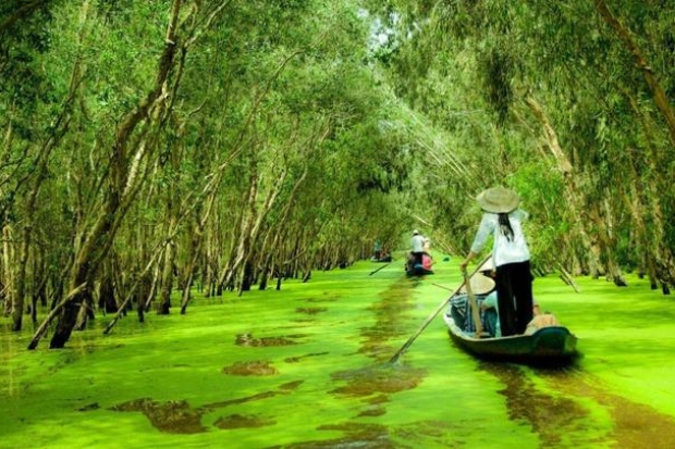 Du lịch tháng 9 nên đi đâu - Rừng tràm Trà Sư