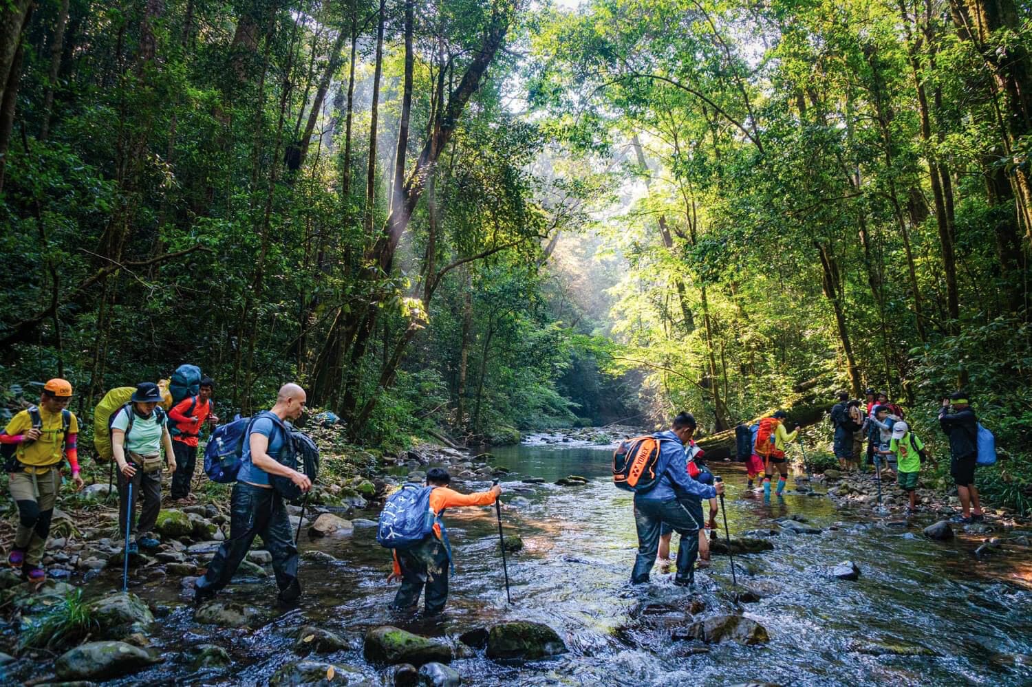 Trekking Vườn Quốc gia Bidoup