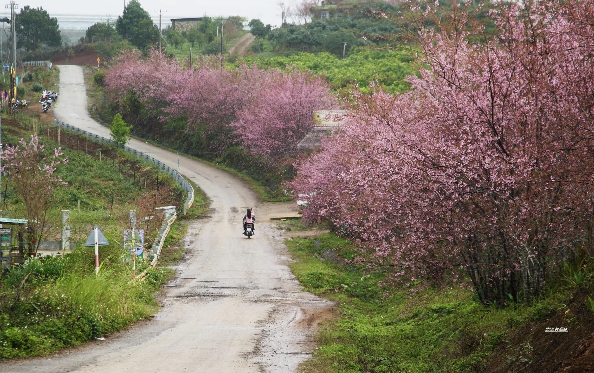 Nông trại Ê Ban