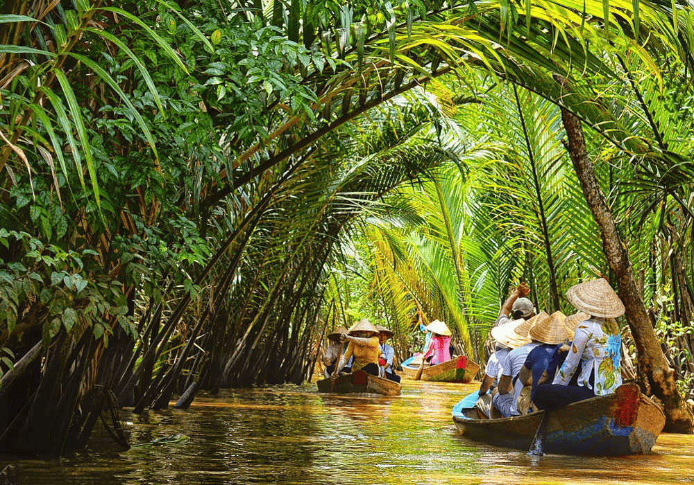 Cù lao Thới Sơn là địa điểm du lịch Miền Tây với nhiều hoạt động trải nghiệm hấp dẫn