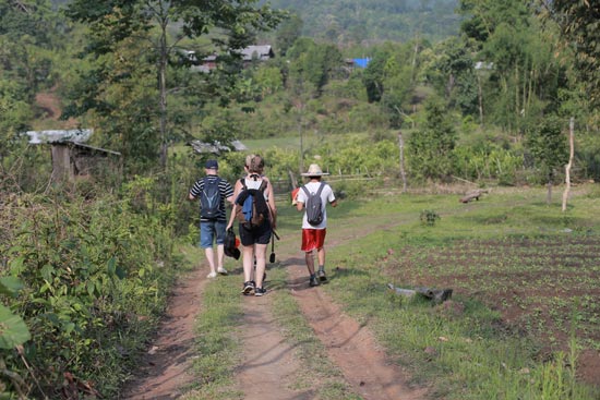 Đường mòn trekking trong rừng nhiệt đới