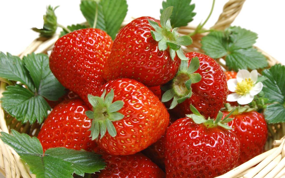 Top 13 địa chỉ mua dâu tây ngon nhất Đà Lạt
