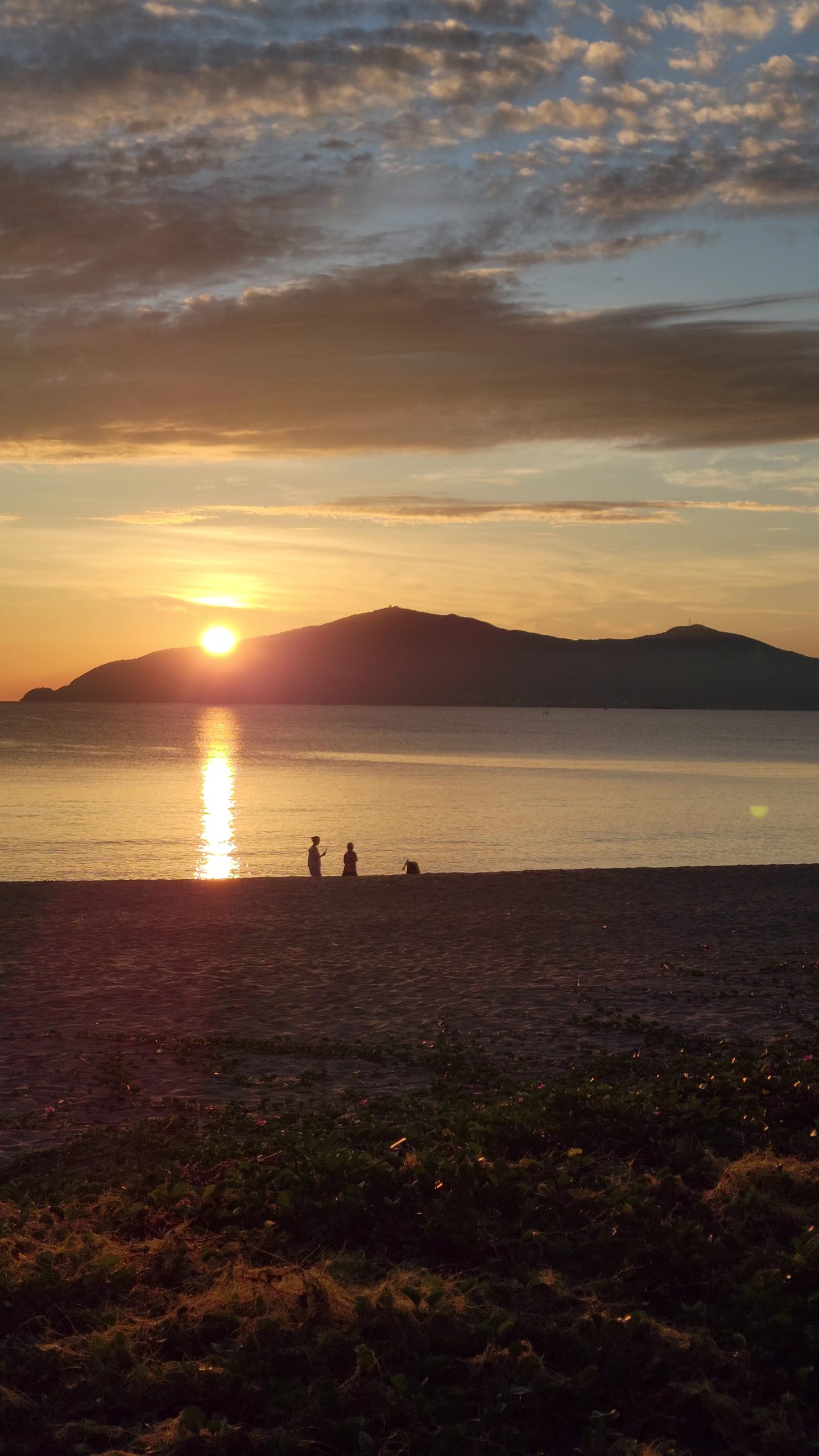 Rừng ngập mặn và đất ngập nước