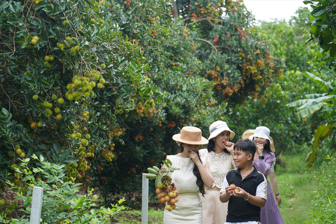 Vườn trái cây Vĩnh Kim, Tiền Giang