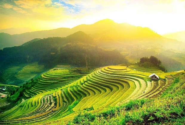 Ruộng bậc thang tại Hà Giang mùa lúa chín