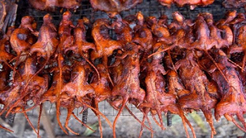 Chuột đồng