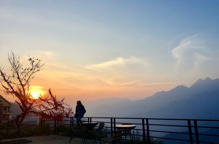 Sapa