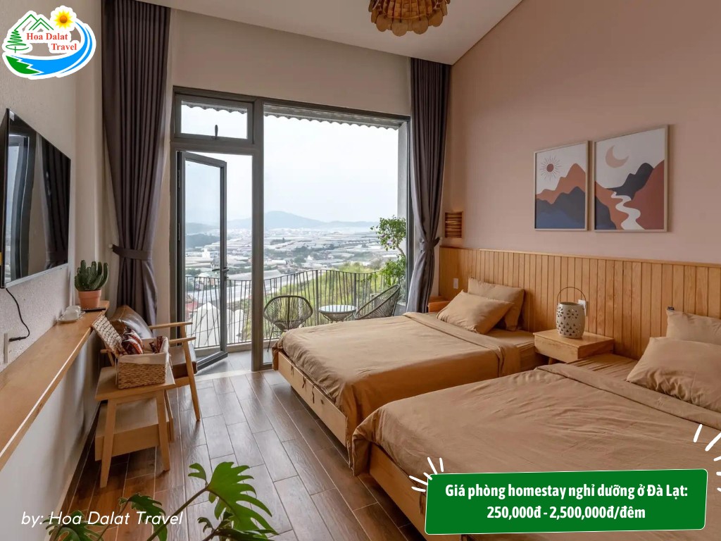 Không gian sinh hoạt tại homestay nghỉ dưỡng Đà Lạt