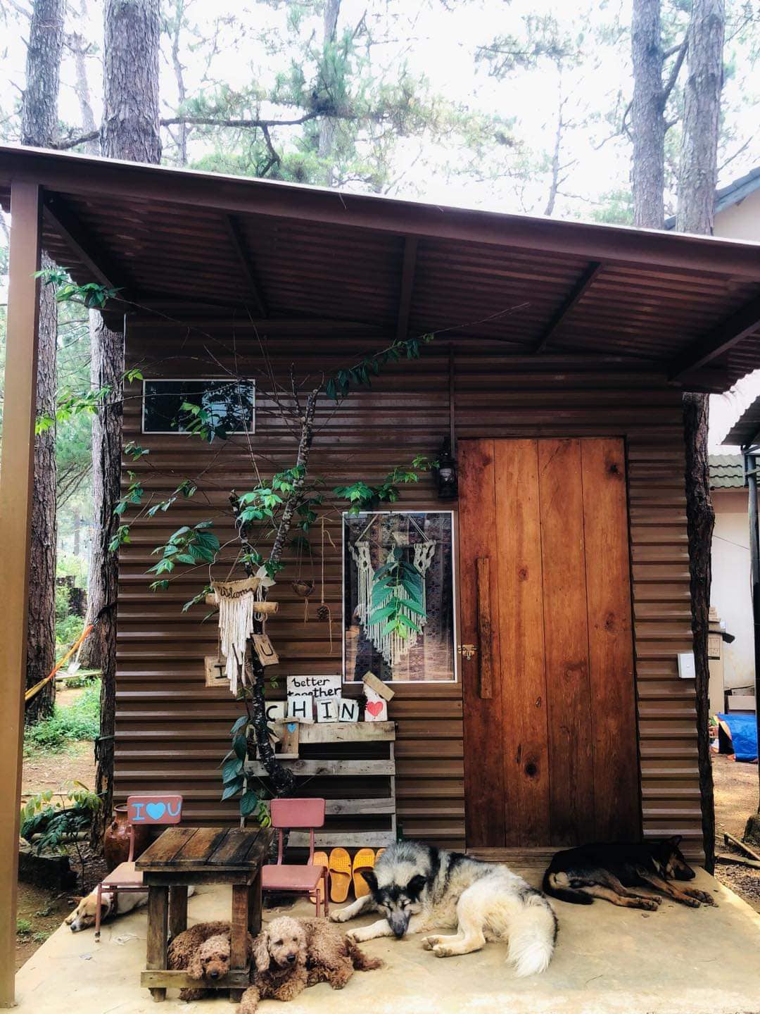 Không gian thanh tịnh tại Chino Homestay