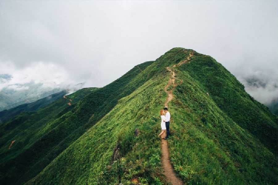 Đường lên sống lưng khủng long