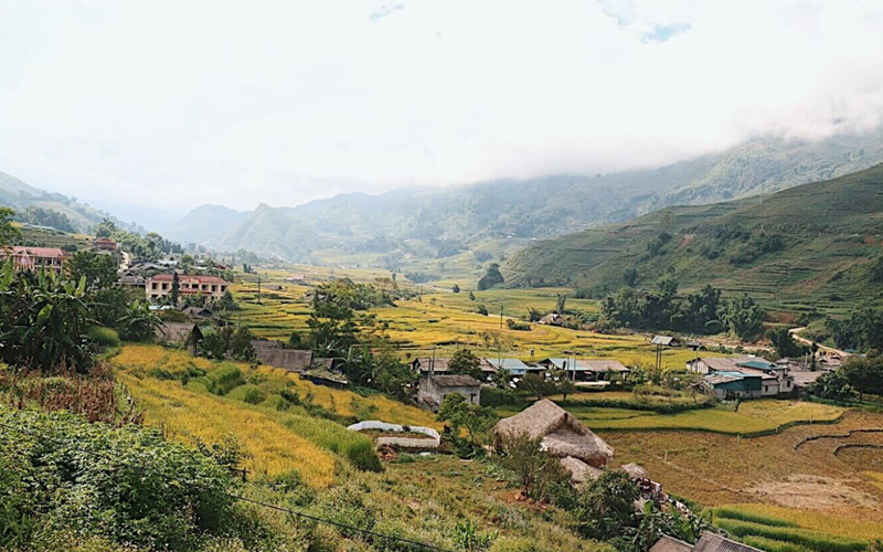 Ruộng bậc thang Tả Van