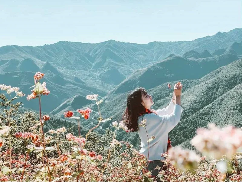Mùa đông Hà Giang với sương mù bao phủ thung lũng và hoa cải vàng