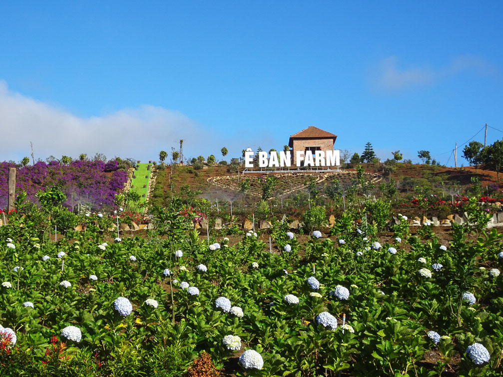Toàn cảnh trang trại rộng lớn Ê Ban Farm