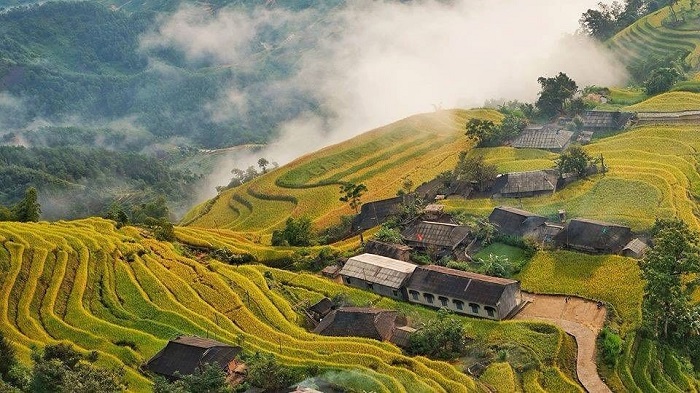 Trekking mùa thu ở Việt Nam