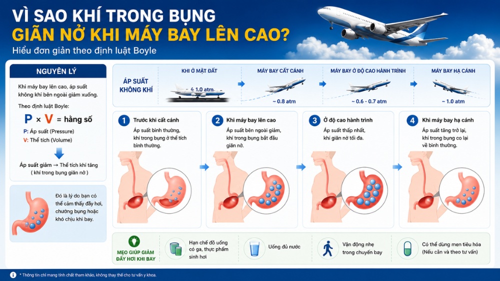 Áp suất cabin khiến bụng đầy hơi khi đi máy bay