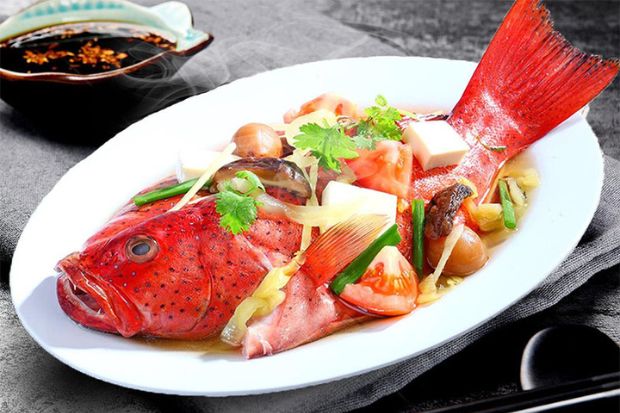 Cá mú đỏ Phú Quý món ăn sang trọng giàu dinh dưỡng