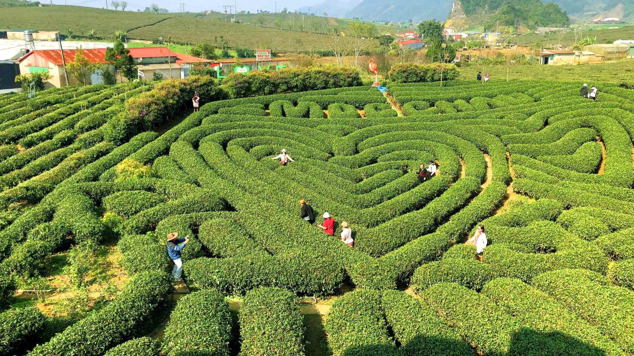 Mộc Châu mùa xanh, thích hợp cho chuyến đi gia đình cuối tuần
