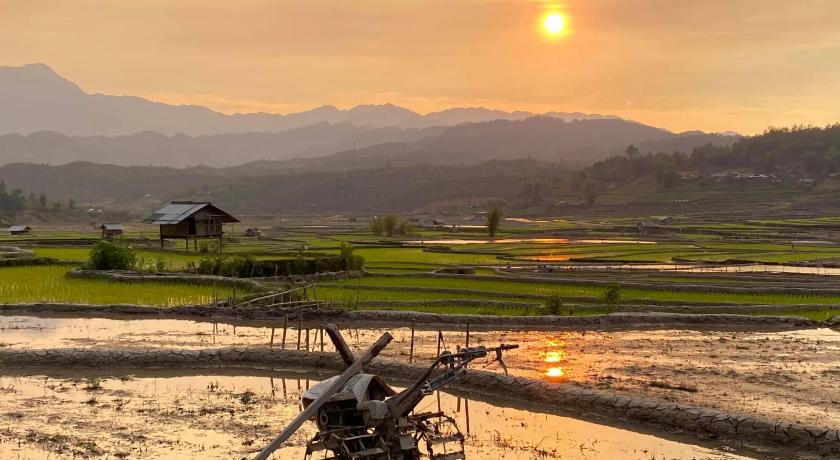 Ruộng bậc thang Mù Cang Chải và homestay