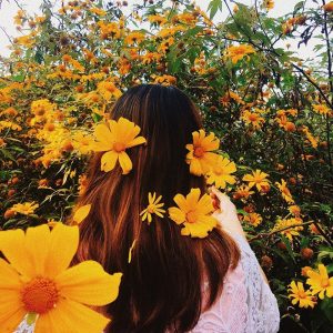 Sắc vàng nổi bật của trang phục giữa đồi hoa dã quỳ rực rỡ