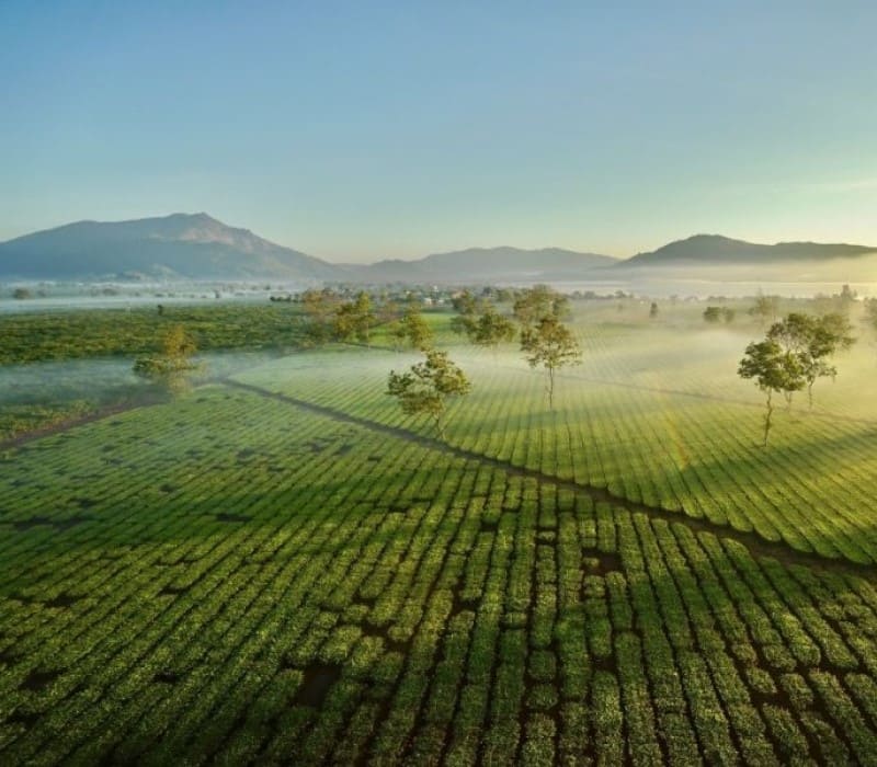 Top 10 điểm du lịch Pleiku mang đậm dấu ấn đại ngàn