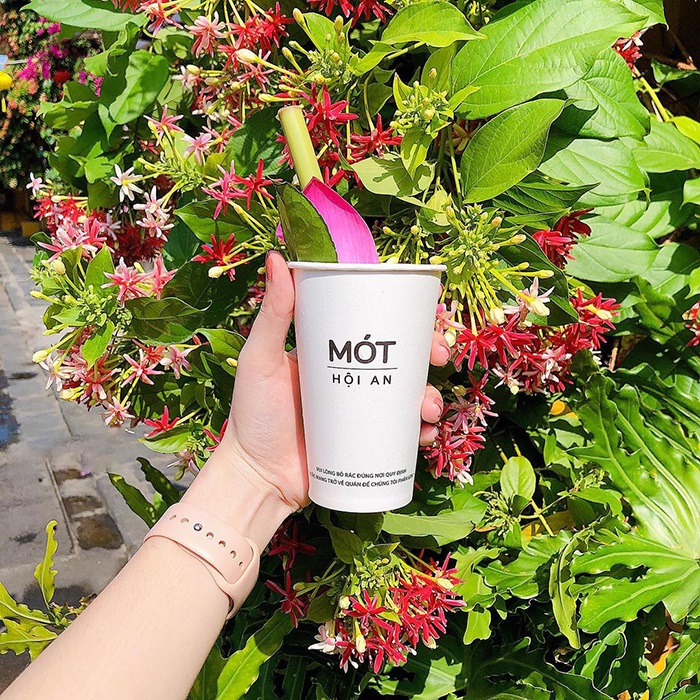 Trà mót Hội An được rất nhiều bạn trẻ yêu thích