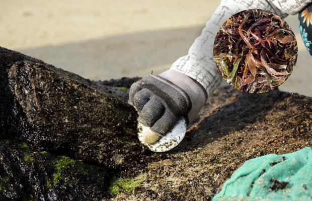 Bãi biển Nam Ô và Mân Thái gần các khu chợ