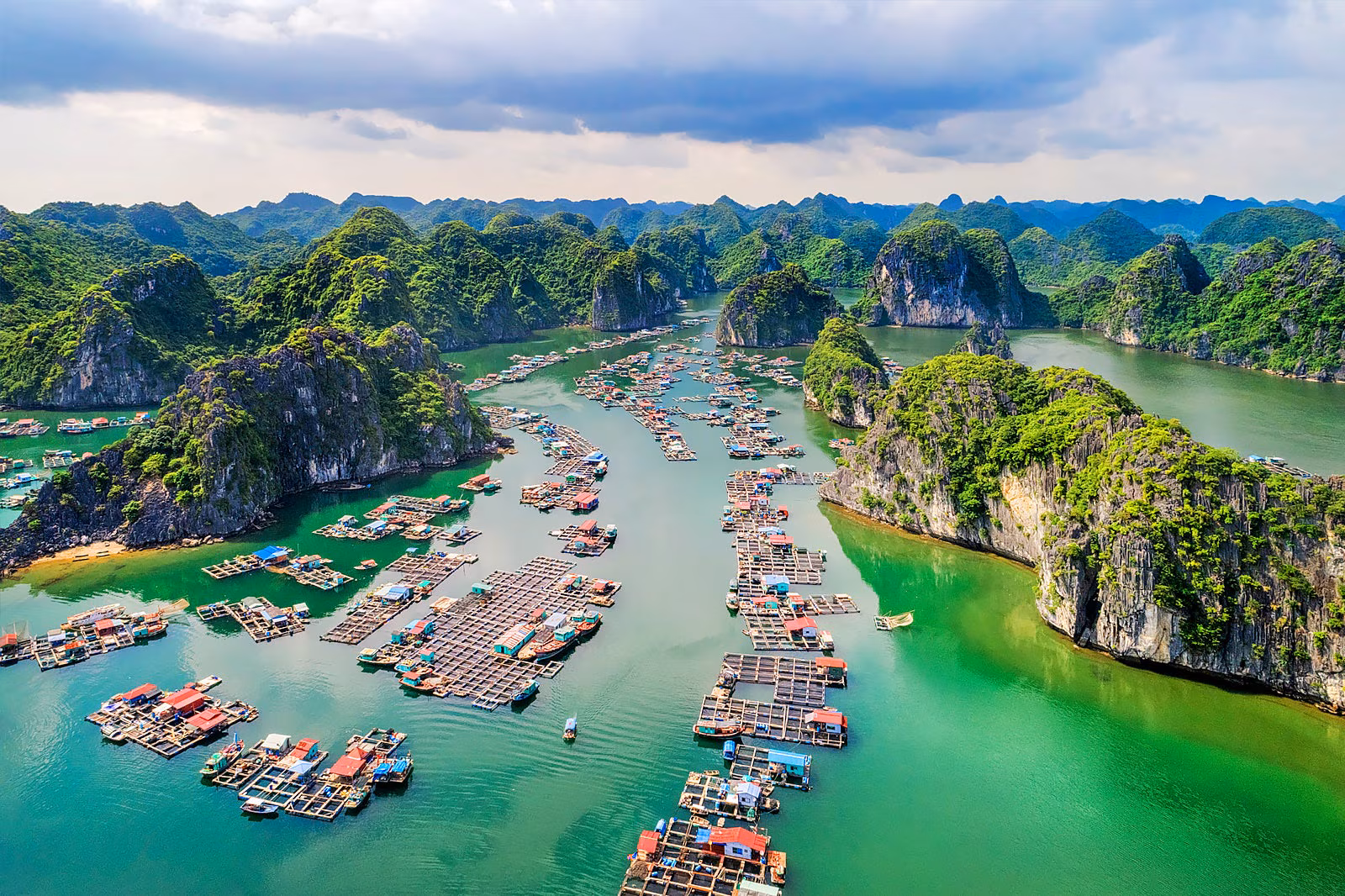 Alt chuẩn bị hậu cần cưới
