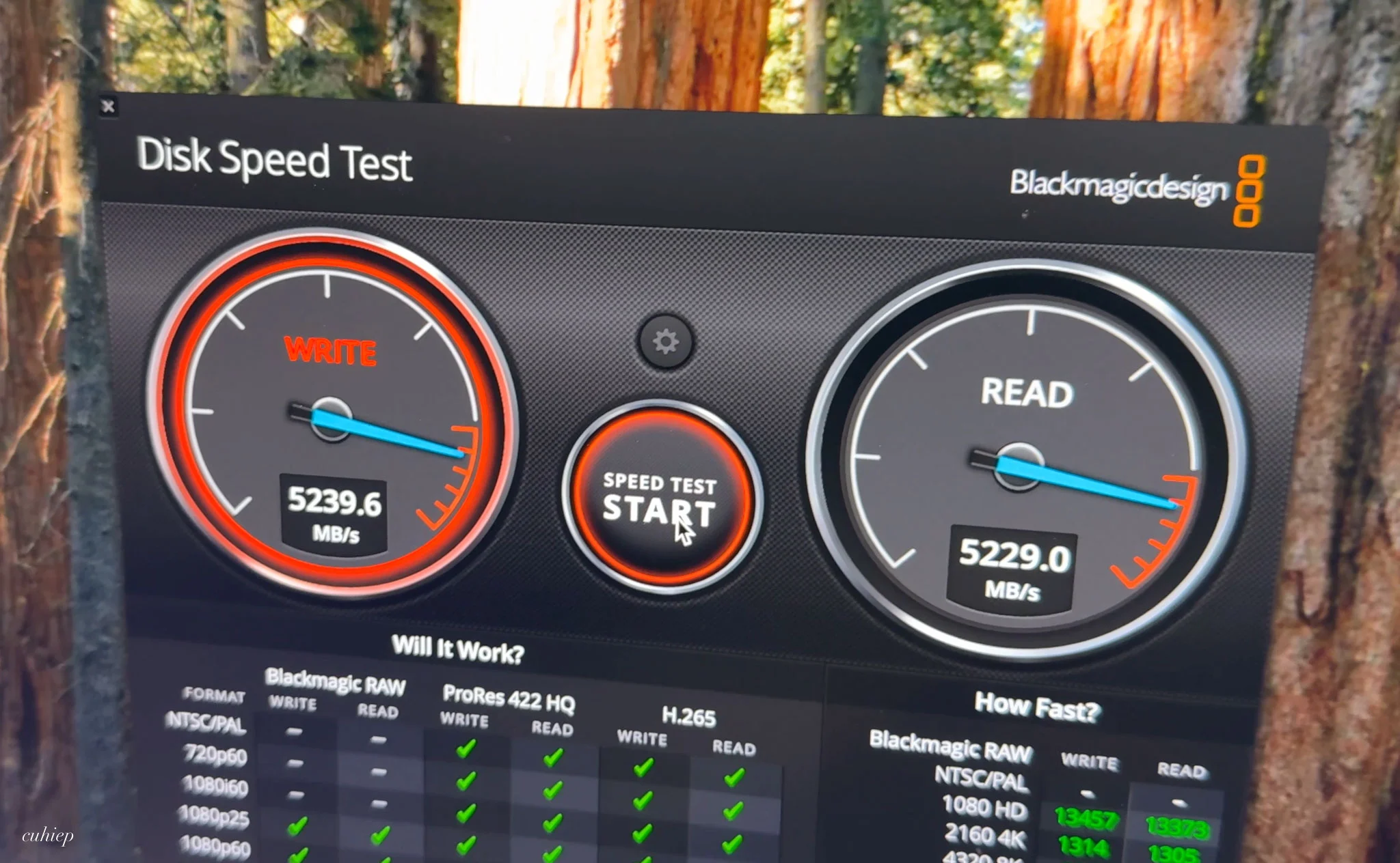 Bảng hiệu năng Thunderbolt 5 vs Thunderbolt 3/4 và SSD thông thường - nguồn từ tinhte