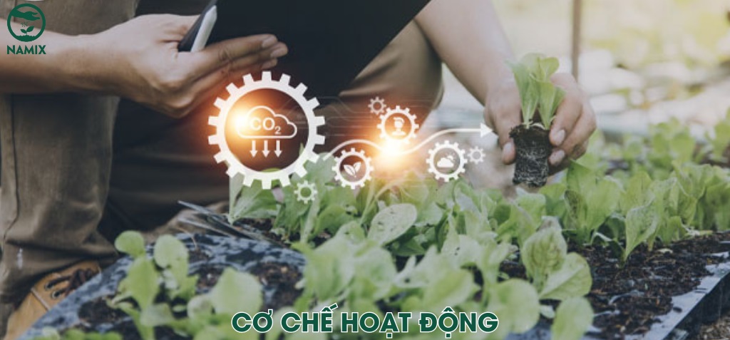 Dòng tiền tích lũy theo kỳ