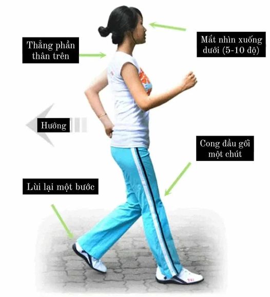 Biểu đồ điều chỉnh giá