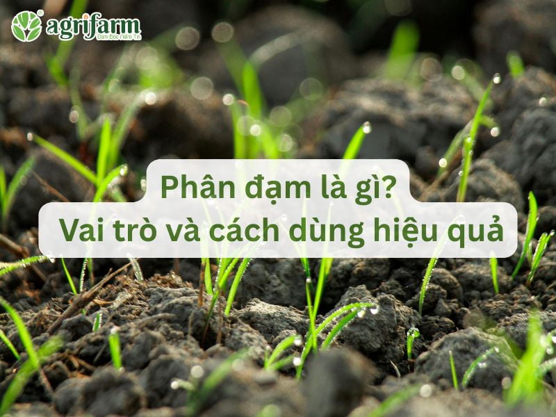 Vai trò của sàn giao dịch chứng khoán