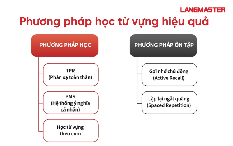 Từ vựng tiếng Anh theo chủ đề