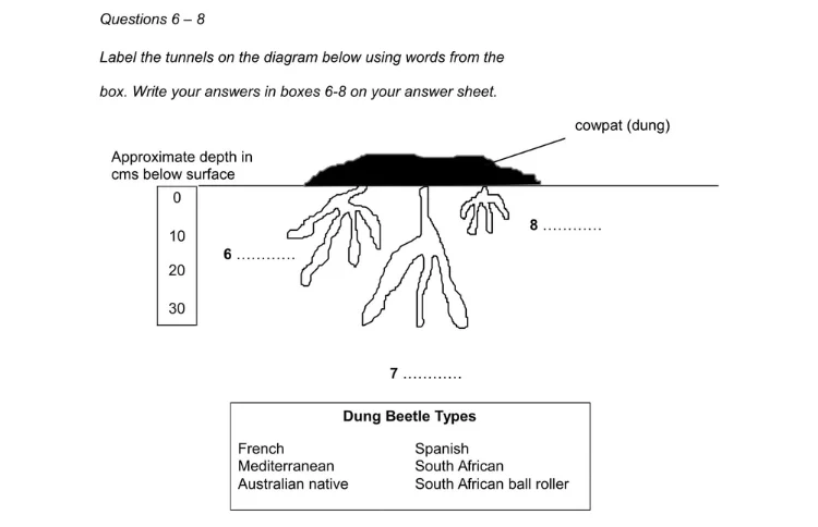 Dạng bài Diagram Label Completion