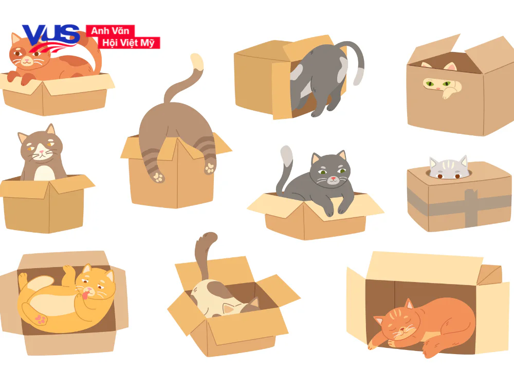 Ngữ pháp tiếng Anh về giới từ