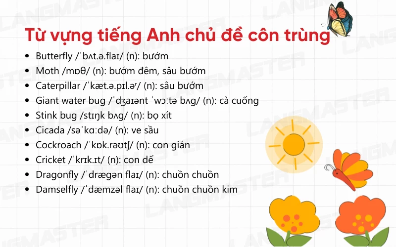 Từ vựng tiếng Anh chủ đề côn trùng