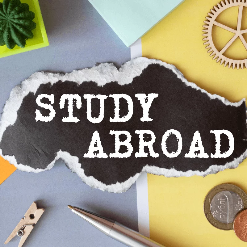 Thesis Statement và Topic Sentence trong bài viết IELTS - nguồn từ yola.vn